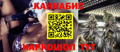 Альфа ПВП Будённовск